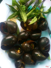 Ốc bưu nướng tiêu xanh 40.000₫