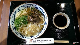 Udon bò kake