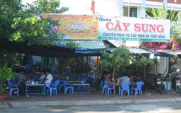 Cây Sung - Món Ăn Tươi Sống