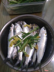 Cá Trích Tươi