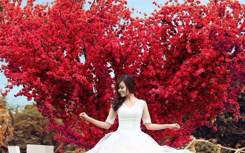 Chụp Ảnh Phim Trường,  Cươi