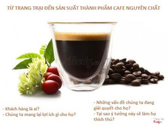 WWW.PHUXUAN.NET 
CAFE NGUYÊN CHÂT