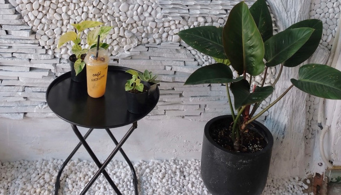 Café Nezumi - Đồ Uống - Hoàng Văn Thụ