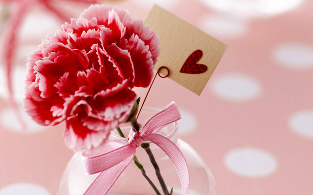 Shop Hoa Tươi - Đại Cồ Việt