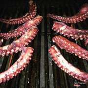 Char grilled optopus