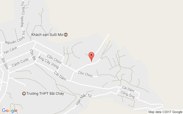 Tuyet Tuyet Restaurant
