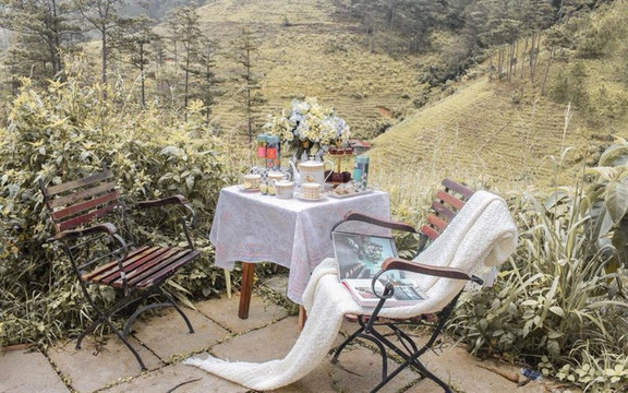 Peony Home Furniture - Hồ Tràm Strip