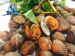 sò huyết nướng mọi