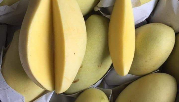 Giò Chả A Bảo - Nguyễn Văn Cừ