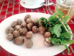 Sò huyết nướng vừa tới con to mà ngon lắm nha cả nha