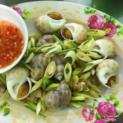 Ốc hương hấp xả