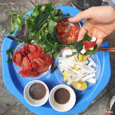 Sứa đỏ