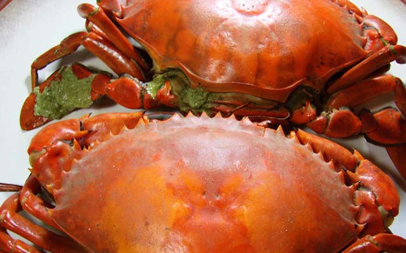 Nhà Hàng Cua Gạch Cà Mau