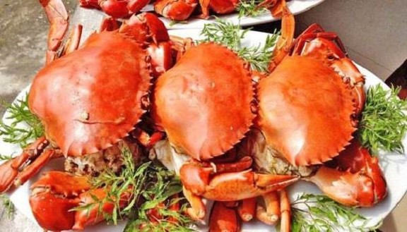 Hải Sản Dũng Mập - Võ Văn Kiệt