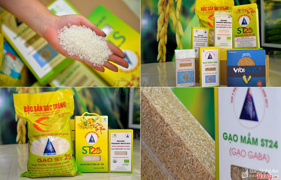 Gạo sóc trăng - gạo ngon nhất thế giới