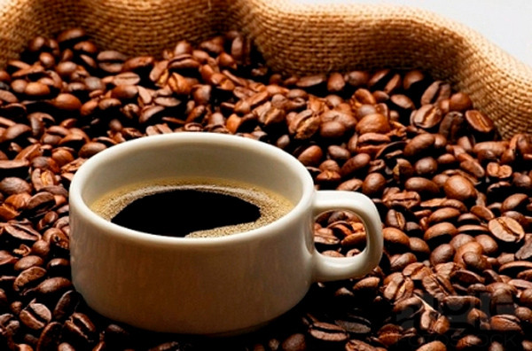 Thảo Mộc Coffee - Đường Số 12