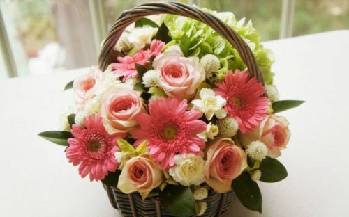 Cửa Hàng Hoa Hồng Y