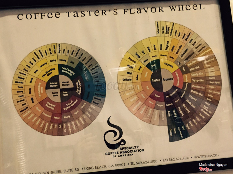 Vòng hương vị của cà phê