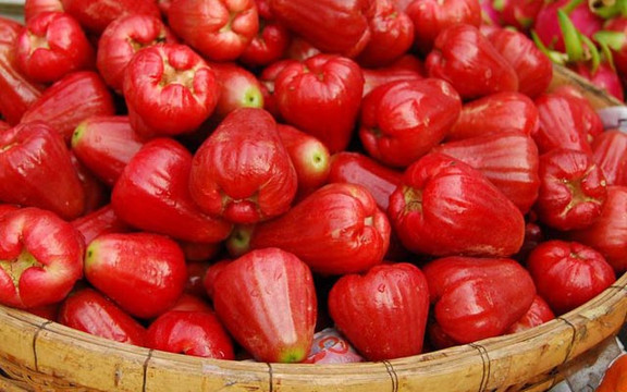 Hoa Quả Miền Tây