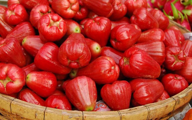 Hoa Quả Miền Tây