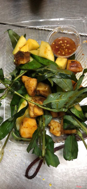 mực đại ca khổng lồ