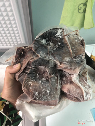 Mắt cá ngừ đại dương