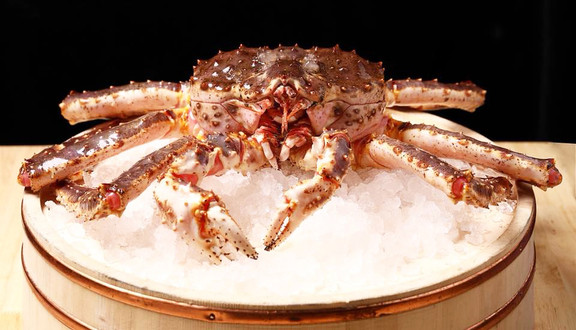 Hải Sản Ocean King