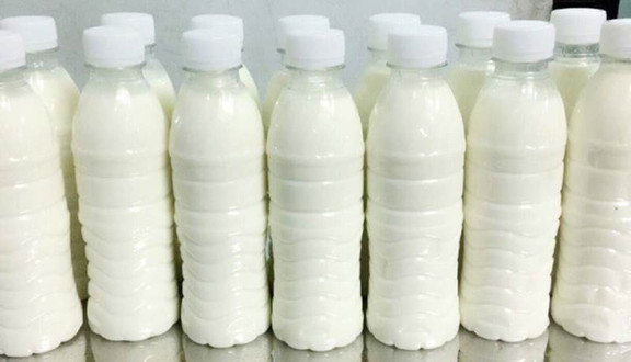 Nonglam Milk - Sữa Bò Tươi Thuần Khiết - Ngô Quyền