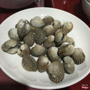 Sò huyết