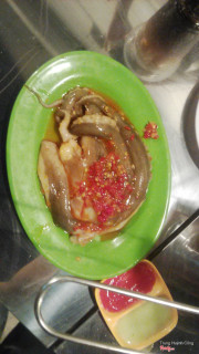 món bạch tuộc nè các bạn