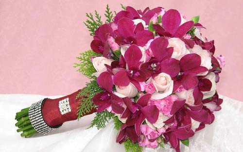 Hoa Tươi Bốn Mùa