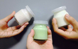 Sữa Chua Dẻo
