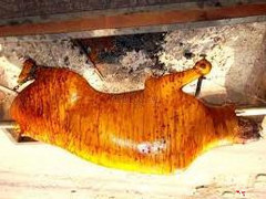 be thui nguyen con dat hang chop ma toc***chuo\ng trinh