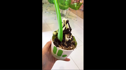 llaollao Natural Frozen Yogurt