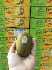 kiwi vàng 220k/kg