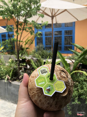 CocoSimia Coconut 100% Organic