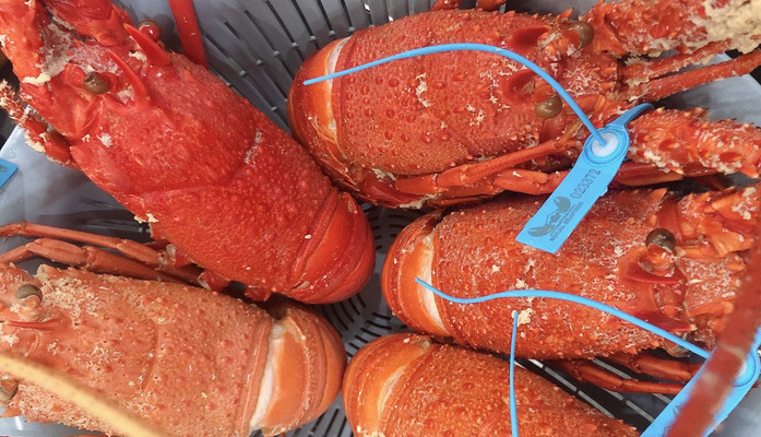 Xuân Seafood - Hải Sản Các Loại - 37 Hàng Giầy