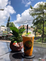 trà trái cây Lakul 35k