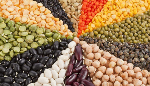 Nutribean