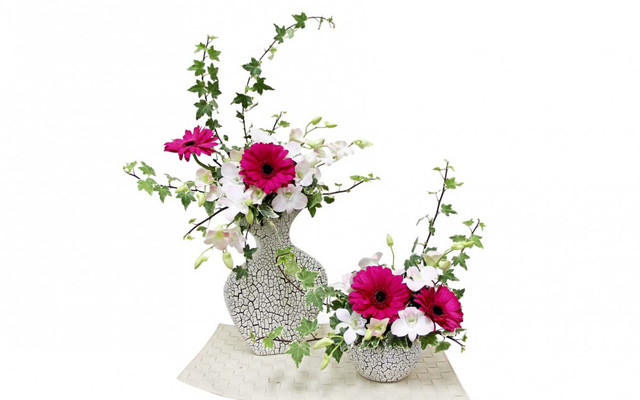 Diễm Chi - Vựa Lá, Hoa Tươi Bến Tre