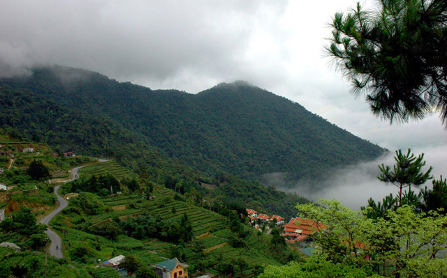 Vườn Quốc Gia Tam Đảo