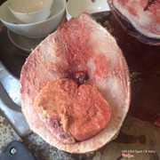 Cá bóp cà mau , tôm tích 