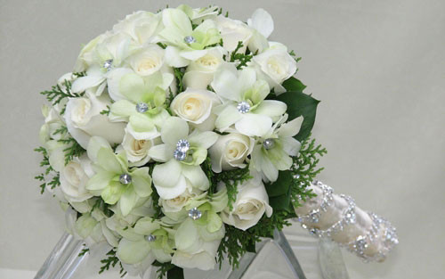 Shop Hoa Hồng Tuệ