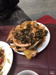 Ốc khều xào dừa tuyệt cú mèo luôn 😍ốc ngấm xào dừa cô cho cả cốc dừa ăn thơm dã man 😩