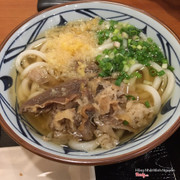 Udon bò kake