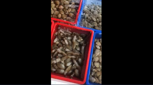 Clip quay khi đã chuẩn bị đầy đủ mặt hàng để phục vụ