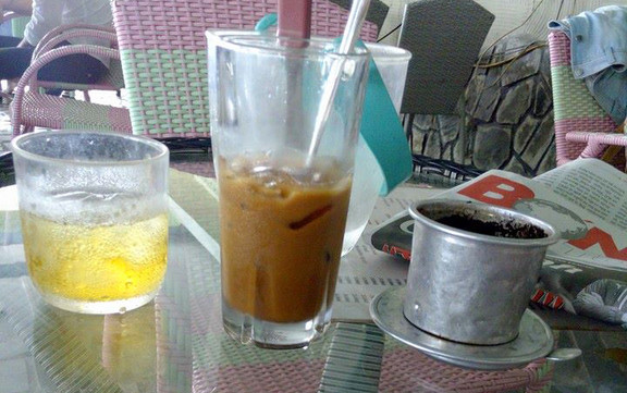 Hoa Phượng Đỏ Cafe