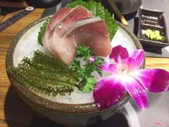 sashimi