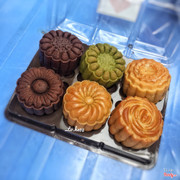 Set Moon Cake 