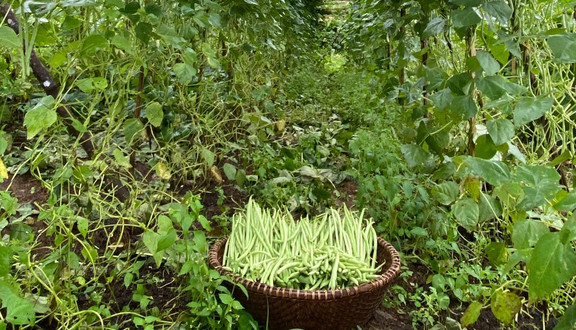 Khôi Farmer & Market - Rau Củ Quả Hữu Cơ - Đường 58